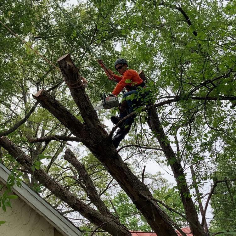 Andrew Burlew - Owner of Every Squirrel's Enemy