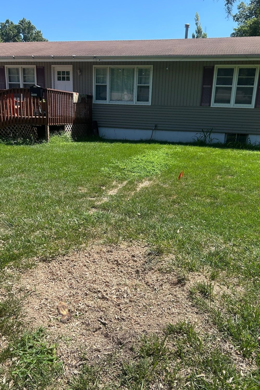 Clean yard after stump grinding