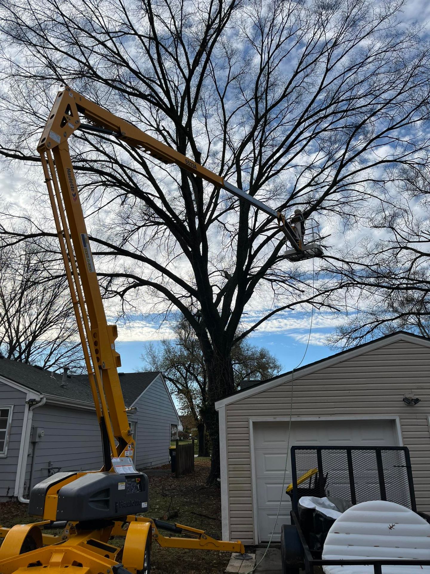 Every Squirrel's Enemy boom lift operating near a large tree