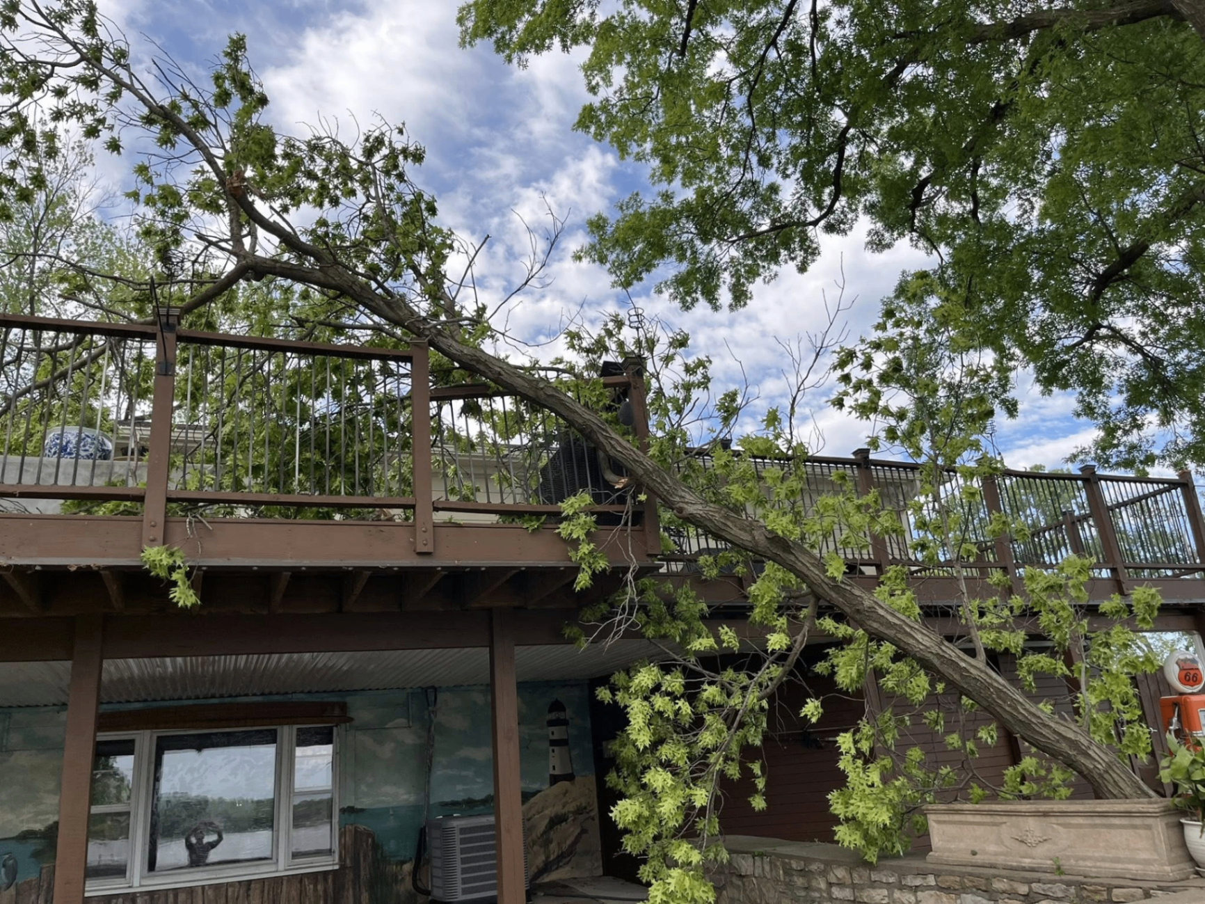 Hazardous Tree Removal