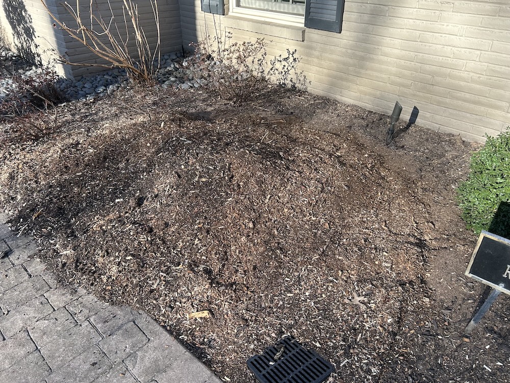 After stump grinding